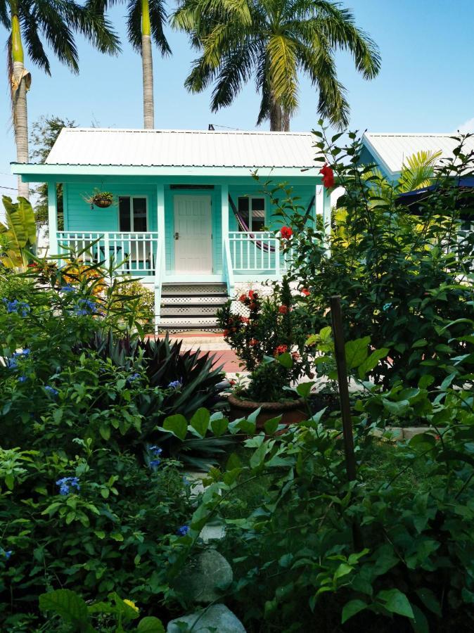 Harbour View Boutique Hotel & Yoga Retreat Belize City Dış mekan fotoğraf