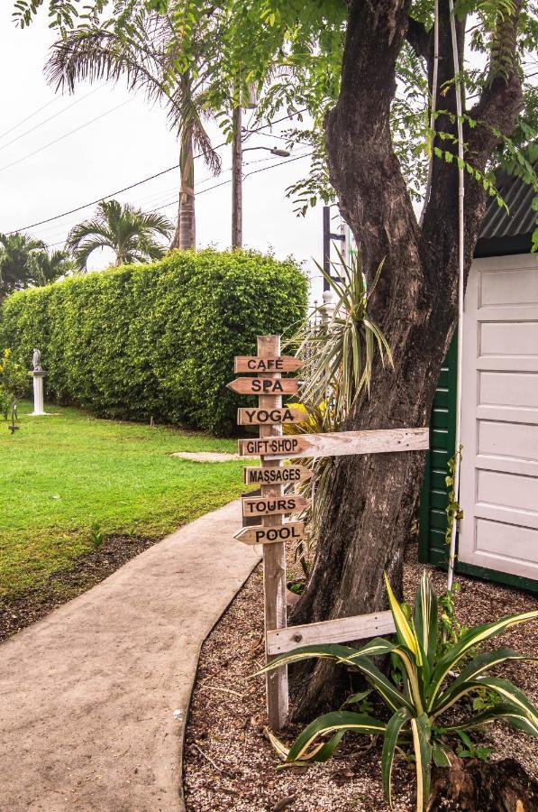 Harbour View Boutique Hotel & Yoga Retreat Belize City Dış mekan fotoğraf